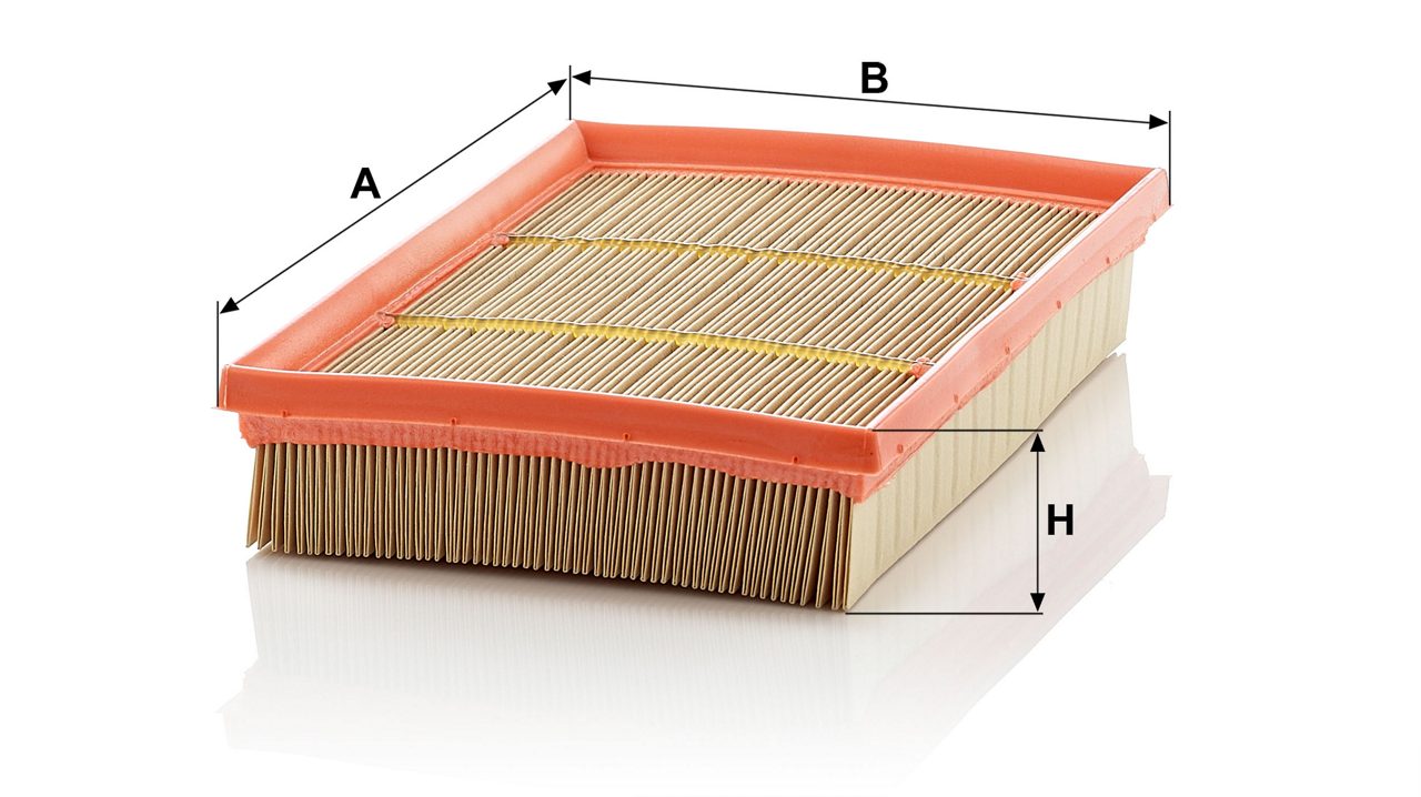 Product Image C2589_MANN-FILTER