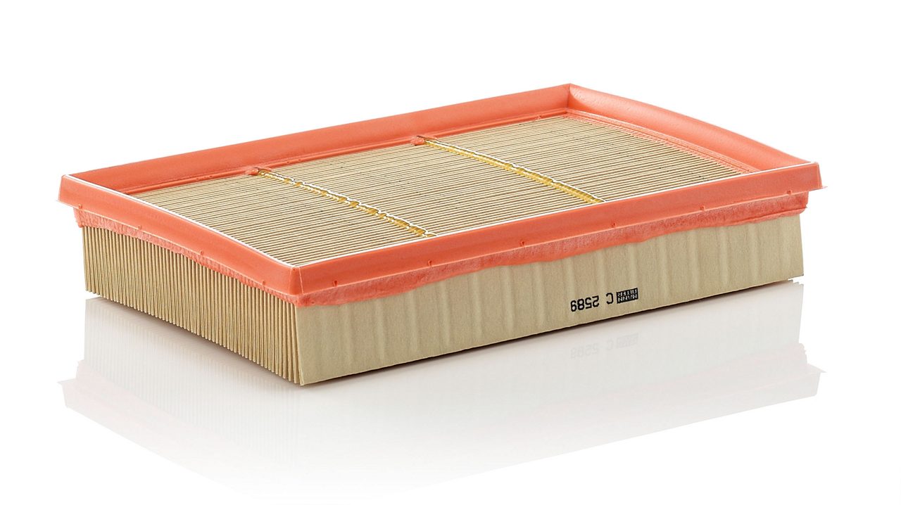 Product Image C2589_MANN-FILTER