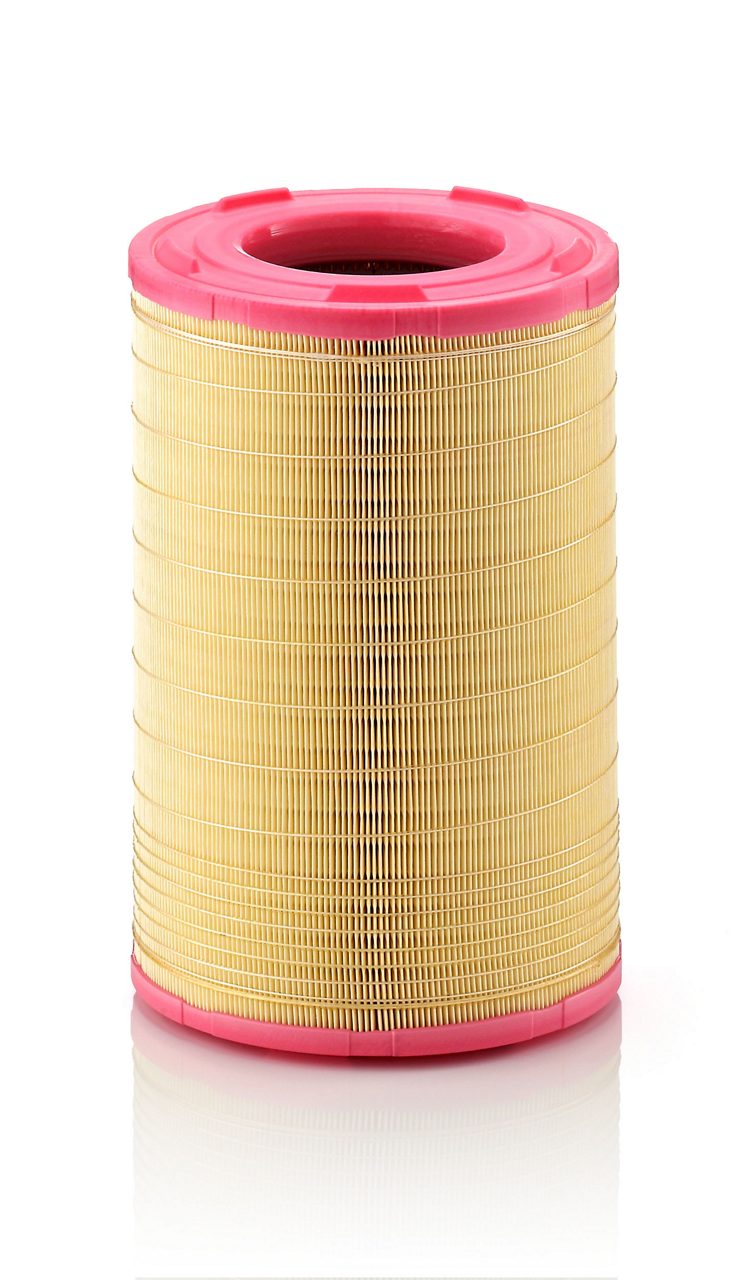 Product Image C25003_MANN-FILTER
