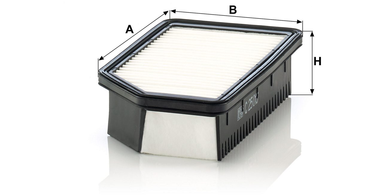 Product Image C25013_MANN-FILTER
