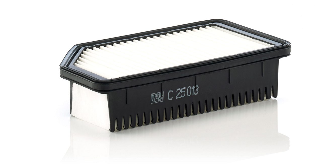 Product Image C25013_MANN-FILTER