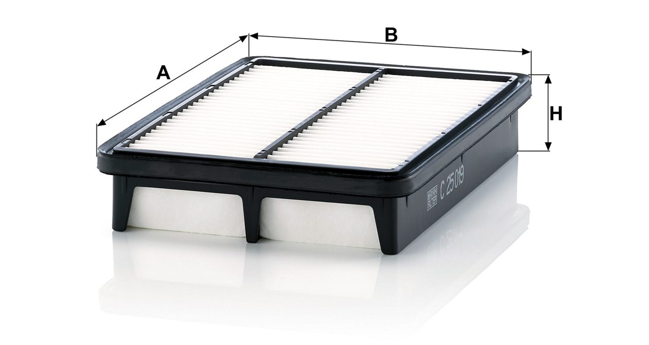 Product Image C25019_MANN-FILTER