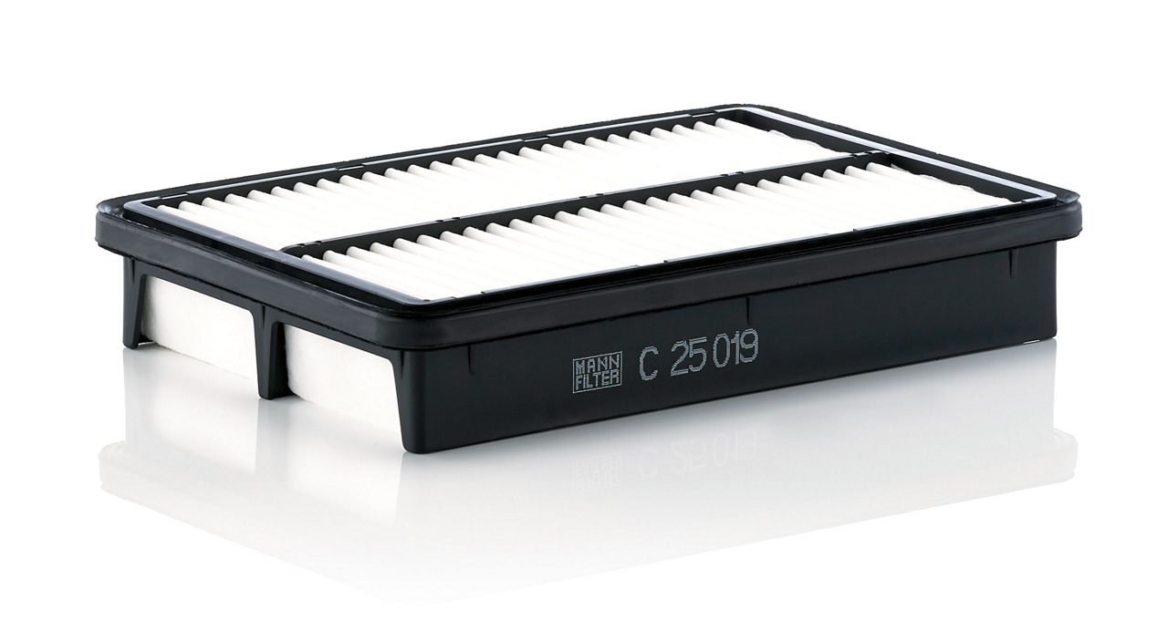 Product Image C25019_MANN-FILTER