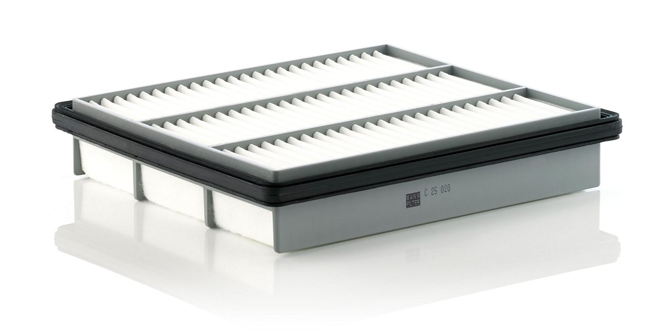 Product Image C25020_MANN-FILTER