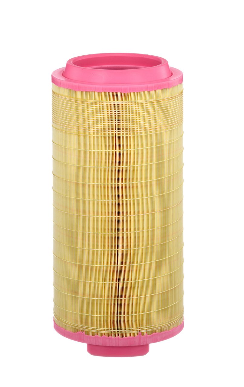 Product Image C25024/1_MANN-FILTER