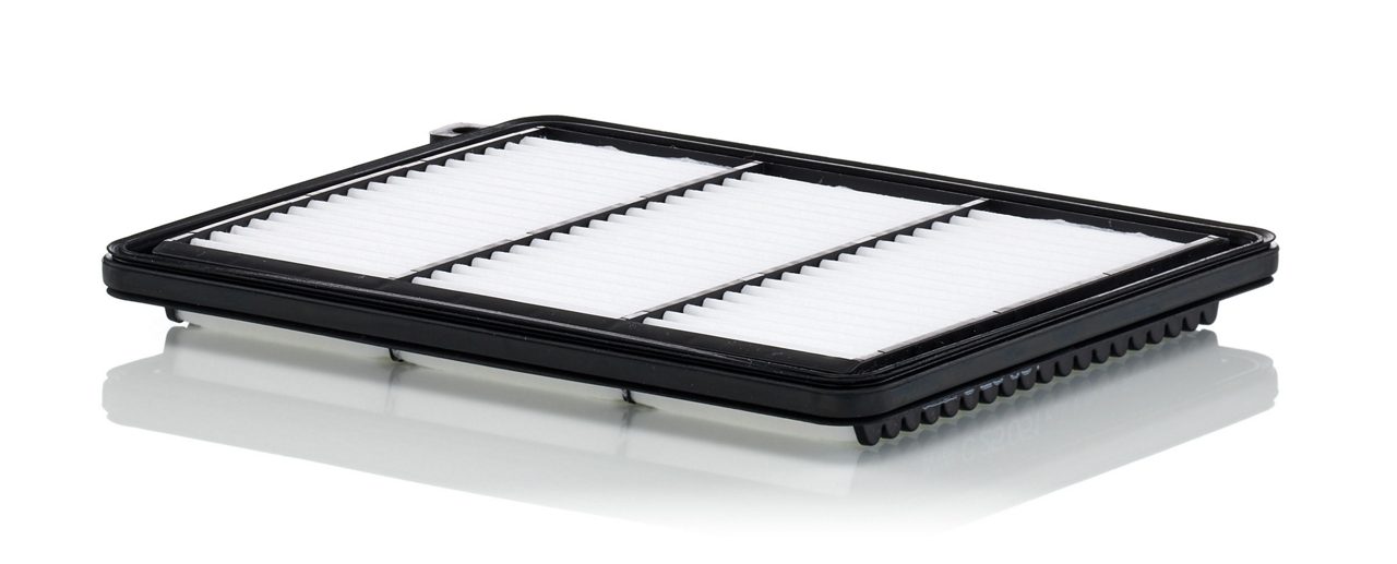 Product Image C25051_MANN-FILTER