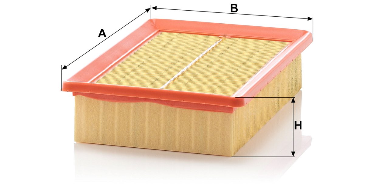 Product Image C25100_MANN-FILTER