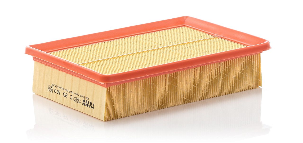 Product Image C25100_MANN-FILTER