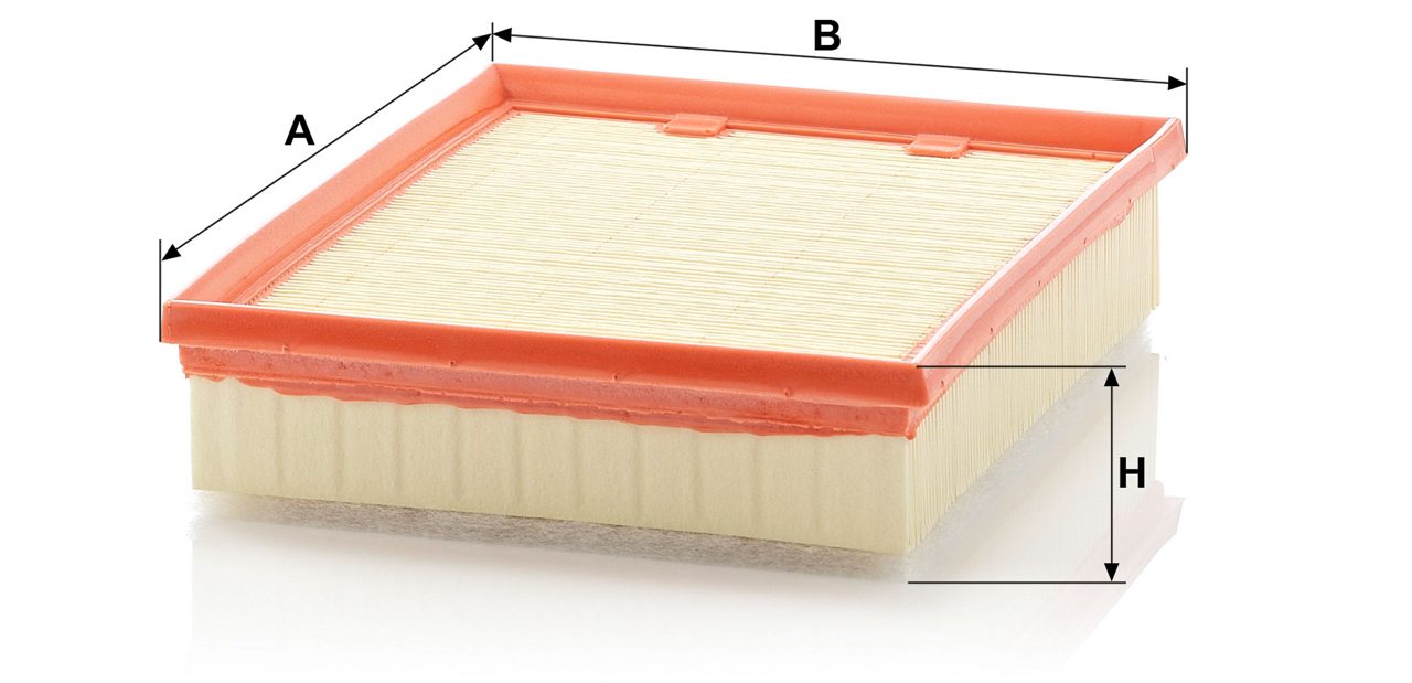 Product Image C25109/1_MANN-FILTER