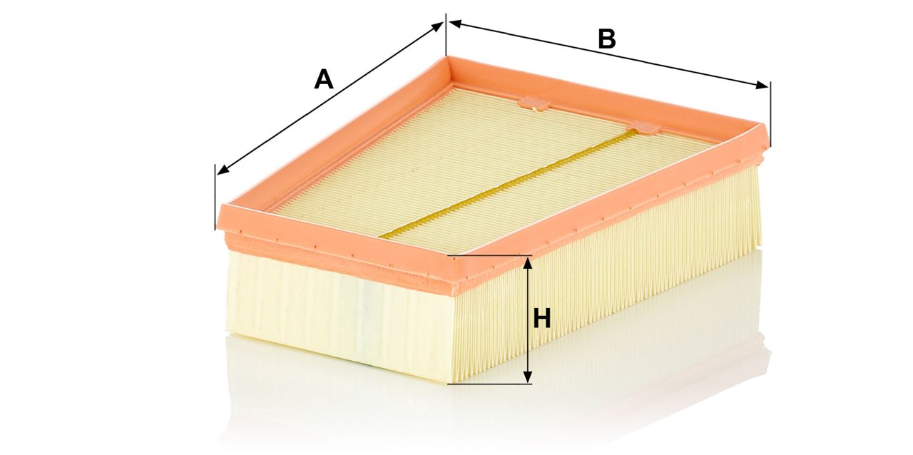 Product Image C25115_MANN-FILTER