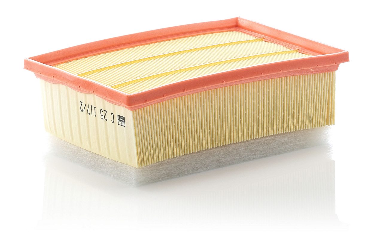 Product Image C25117/2_MANN-FILTER