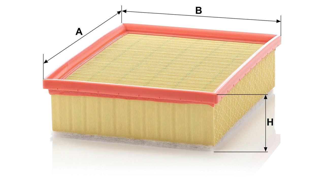 Product Image C25118/1_MANN-FILTER