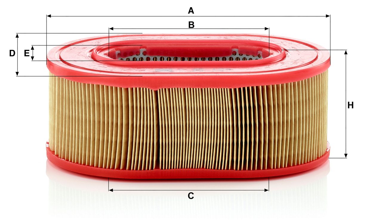 Product Image C25124_MANN-FILTER