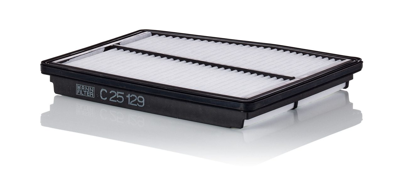 Product Image C25129_MANN-FILTER