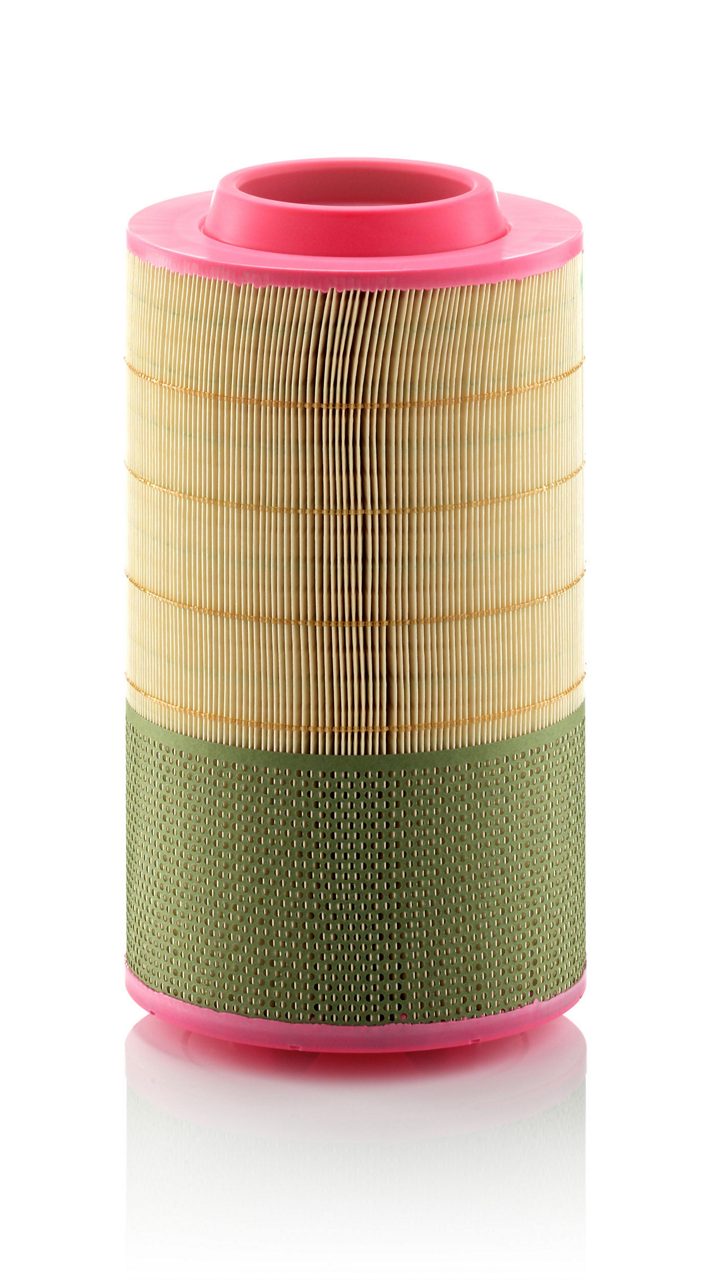 Product Image C25950/1_MANN-FILTER