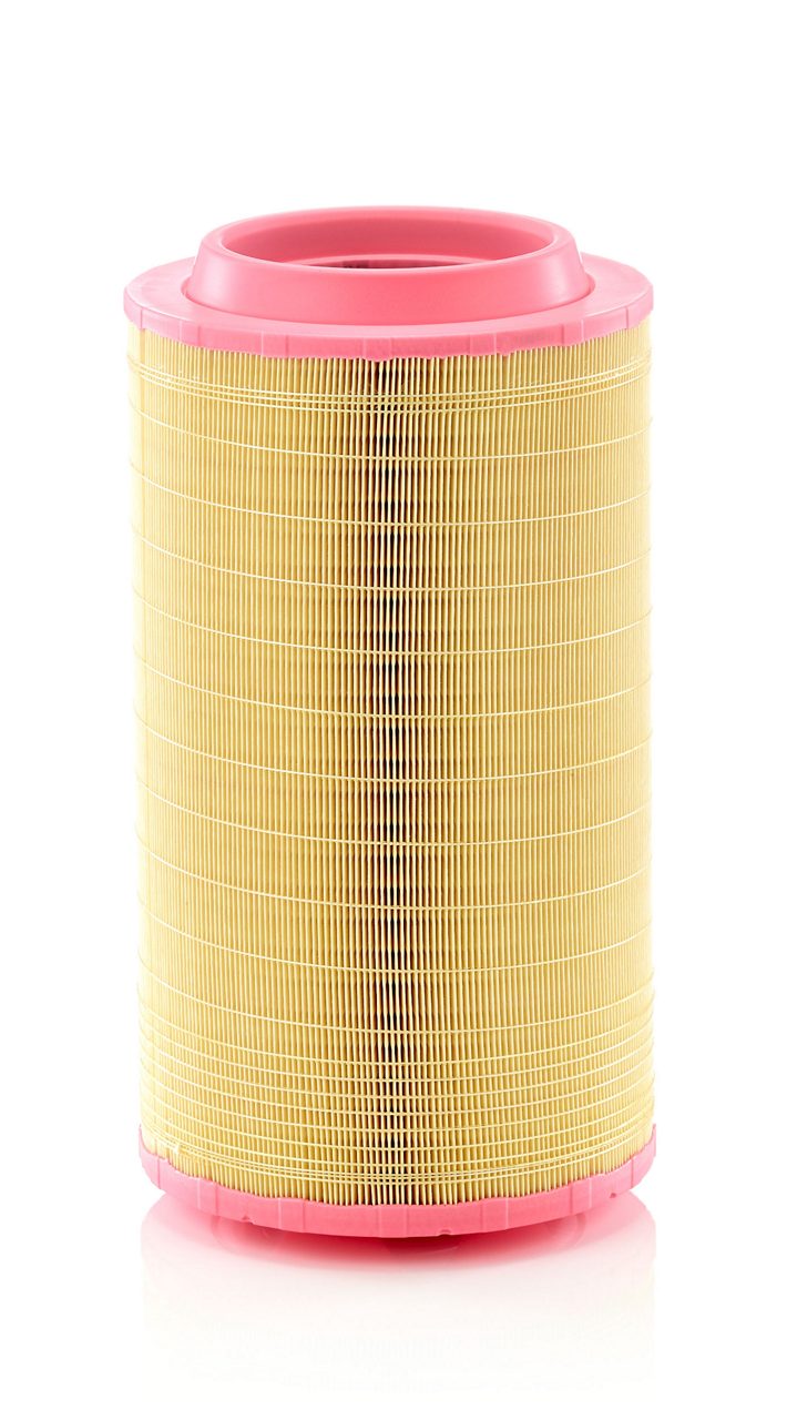 Product Image C25990/1_MANN-FILTER