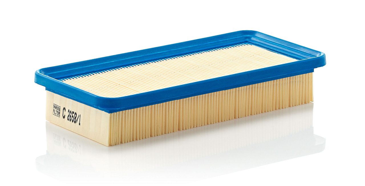 Product Image C2658/1_MANN-FILTER