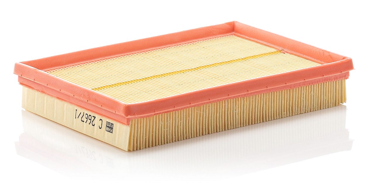 Product Image C2667/1_MANN-FILTER