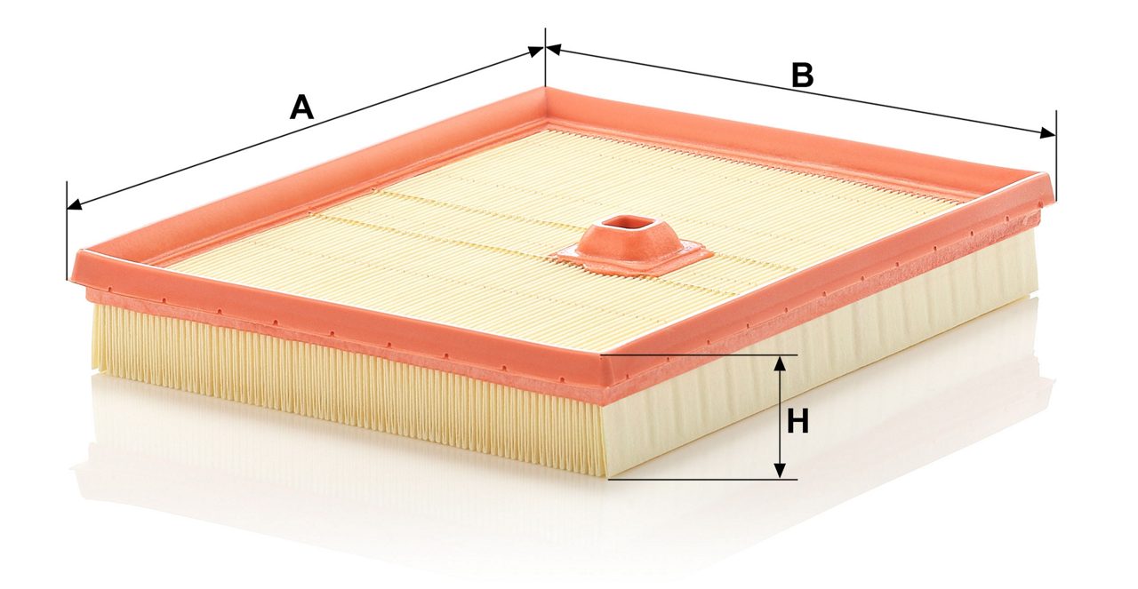 Product Image C2695/2_MANN-FILTER