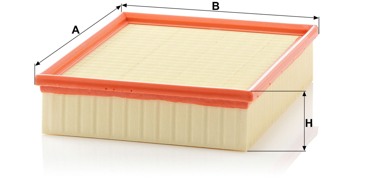 Product Image C26168/2_MANN-FILTER