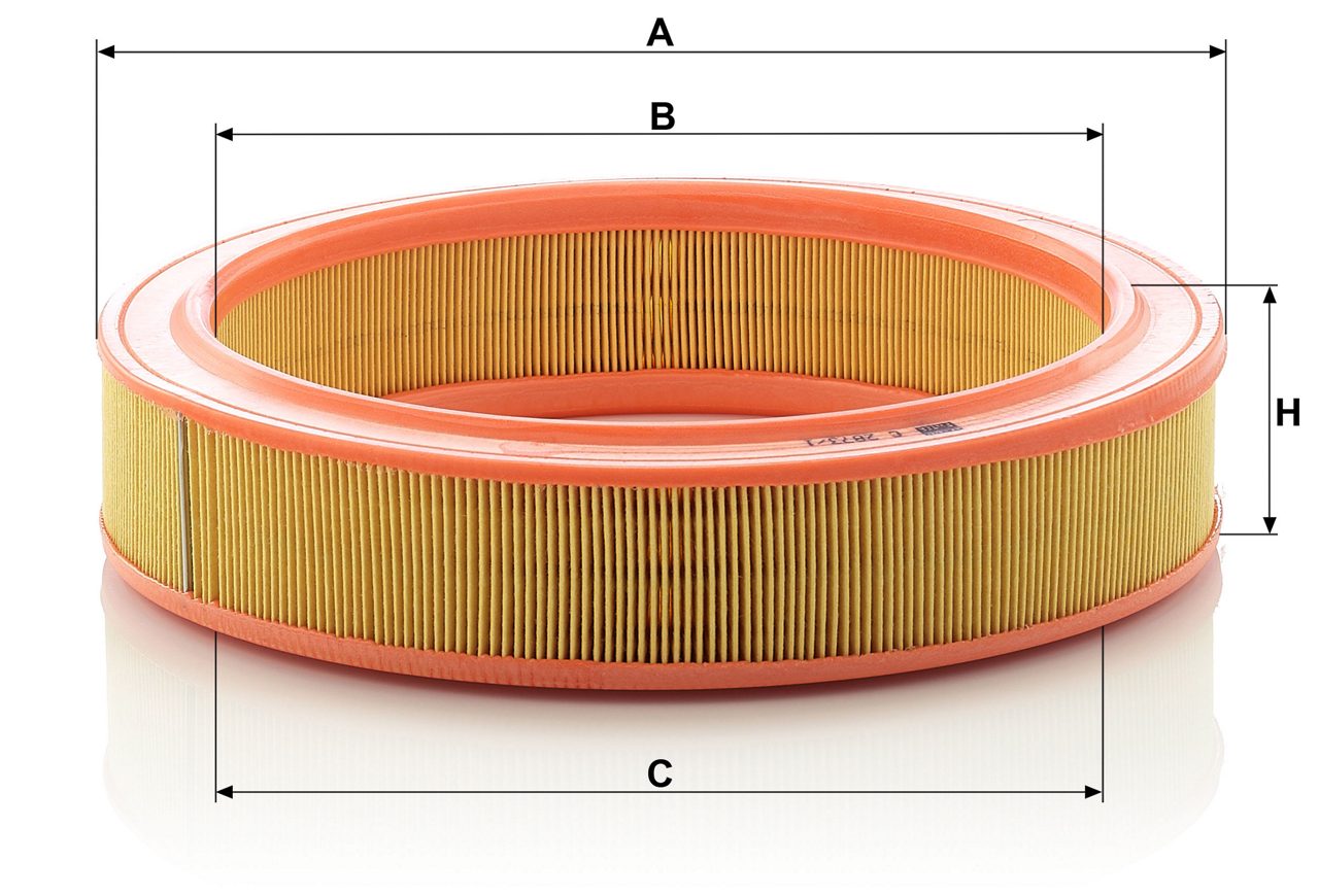 Product Image C2873/1_MANN-FILTER