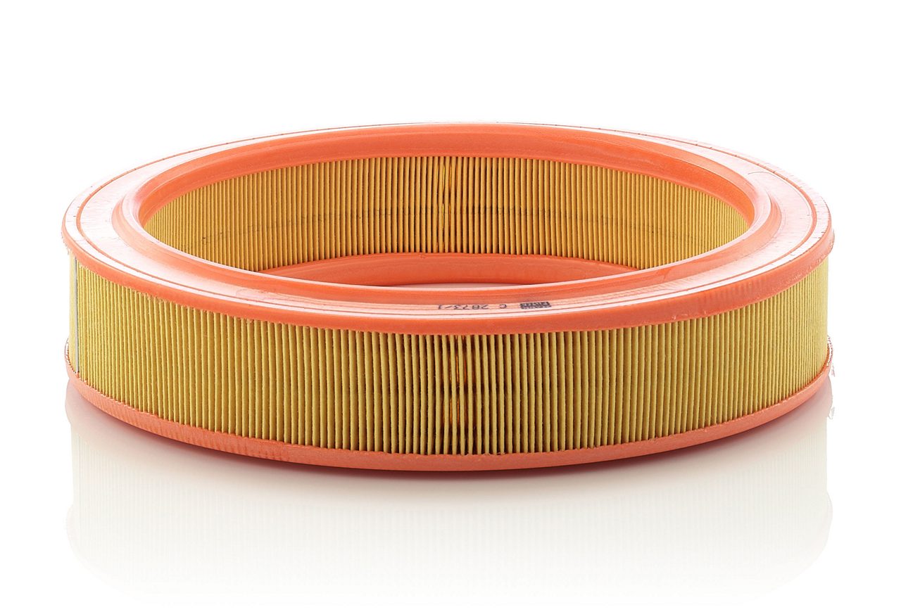 Product Image C2873/1_MANN-FILTER