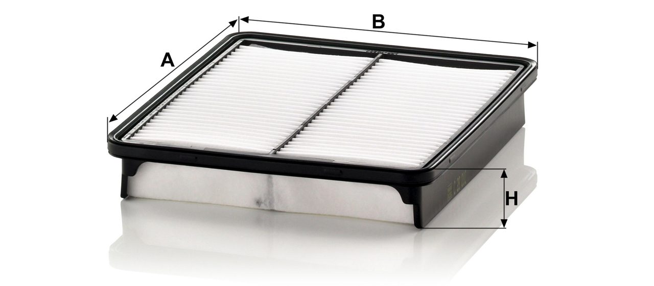 Product Image C28010_MANN-FILTER