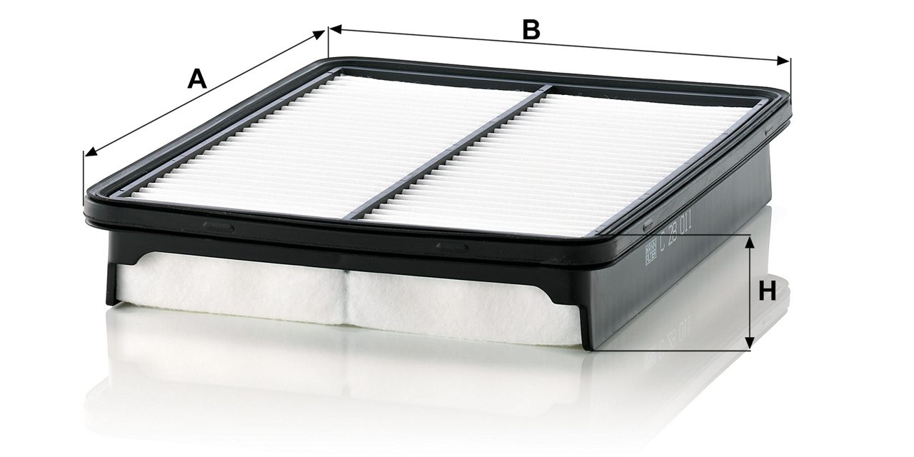 Product Image C28011_MANN-FILTER