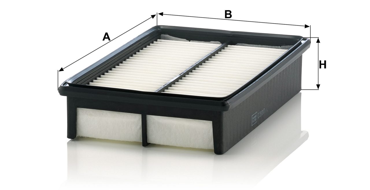 Product Image C28017_MANN-FILTER