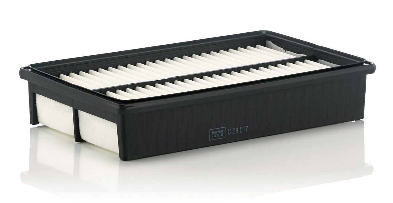 Product Image C28017_MANN-FILTER