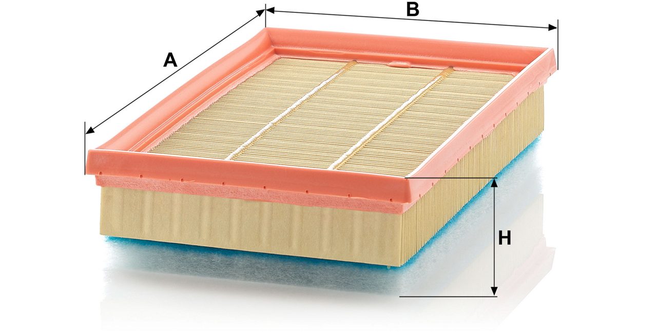 Product Image C28105/1_MANN-FILTER