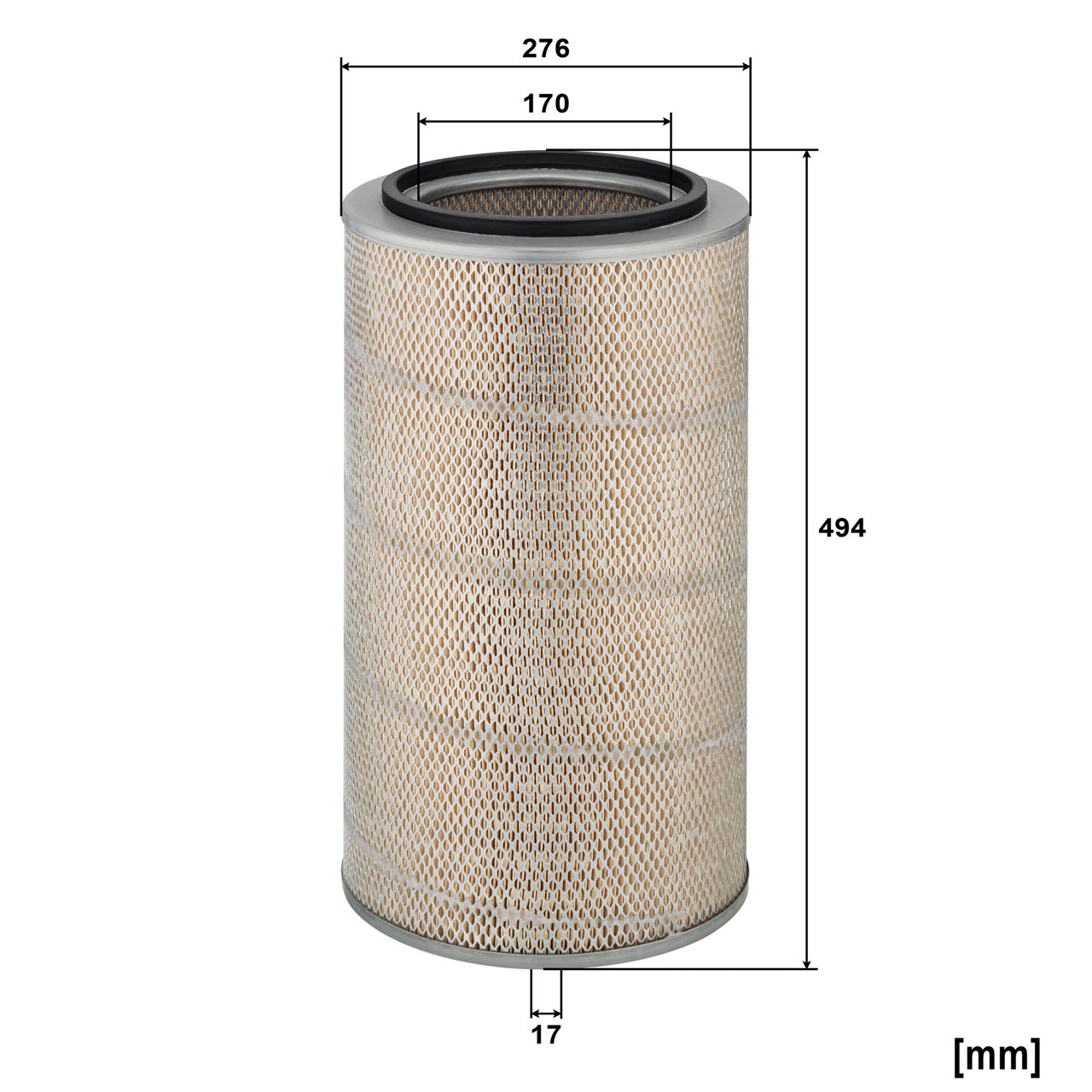 Product Image C28117_MANN-FILTER