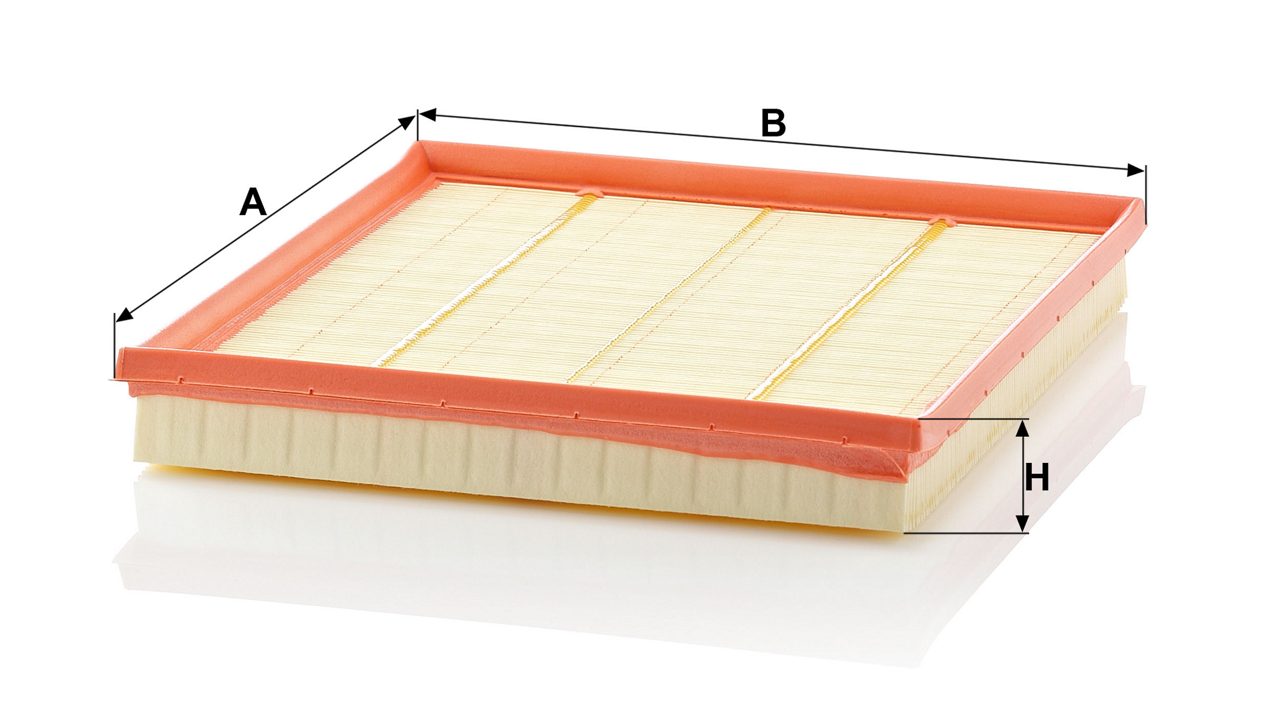 Product Image C28125_MANN-FILTER