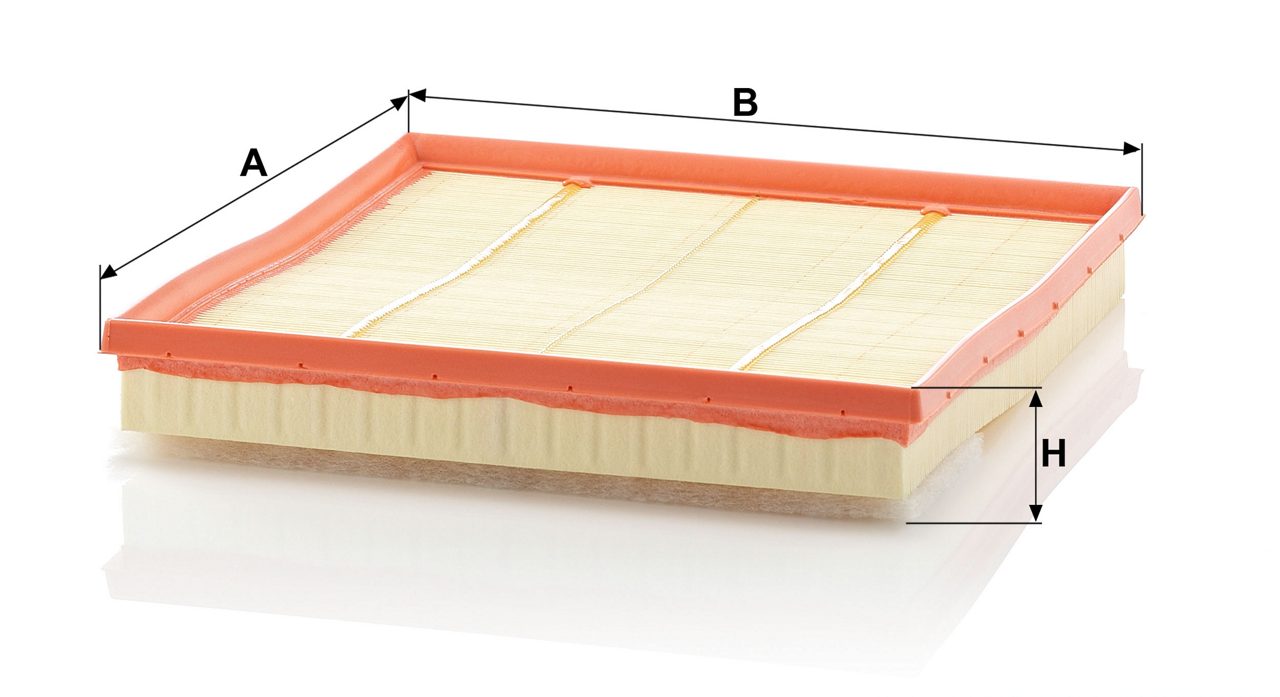 Product Image C28125/1_MANN-FILTER