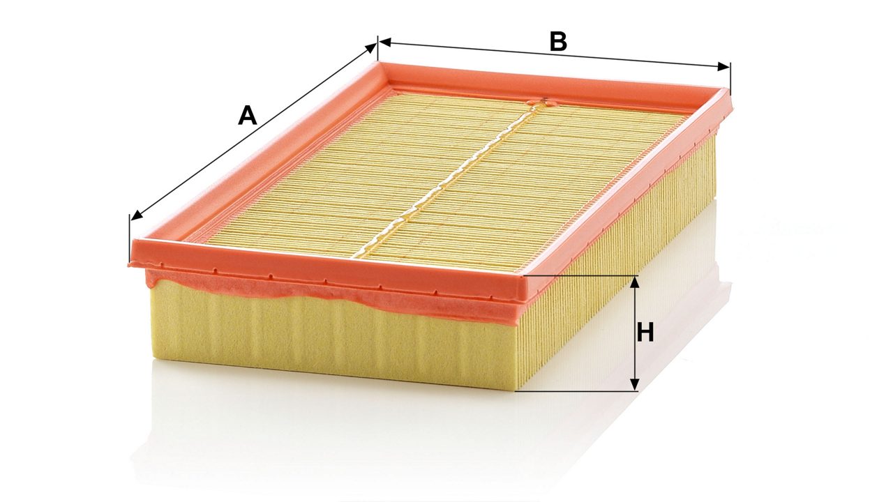 Product Image C2982KIT_MANN-FILTER