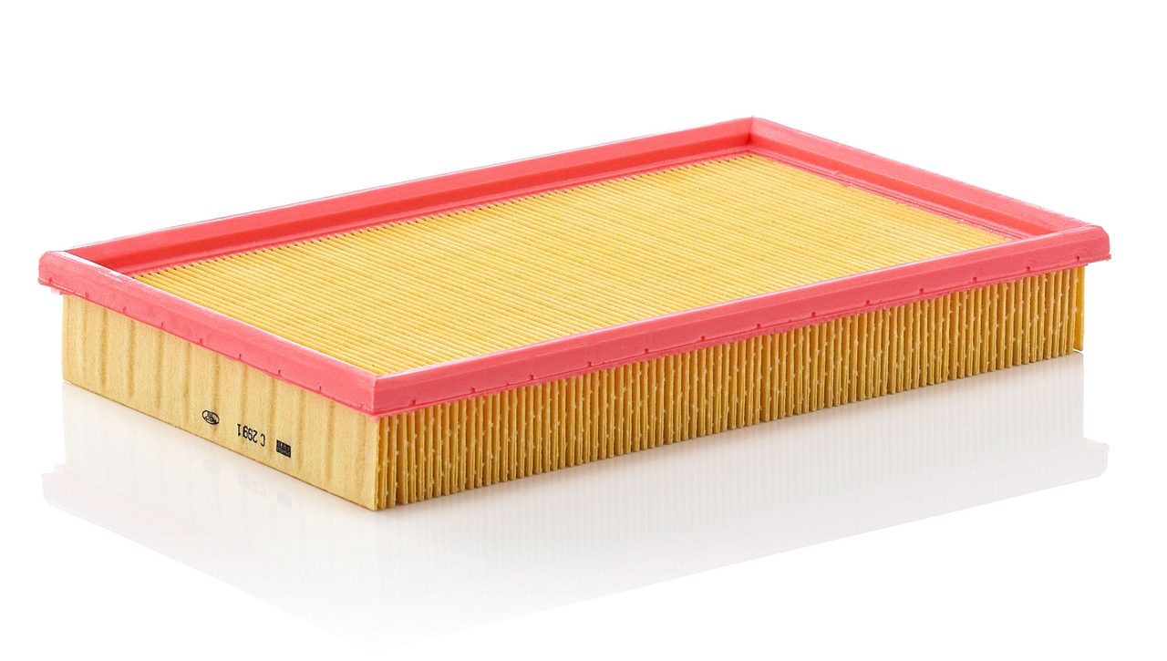 Product Image C2991_MANN-FILTER