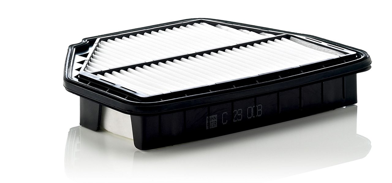 Product Image C29008_MANN-FILTER