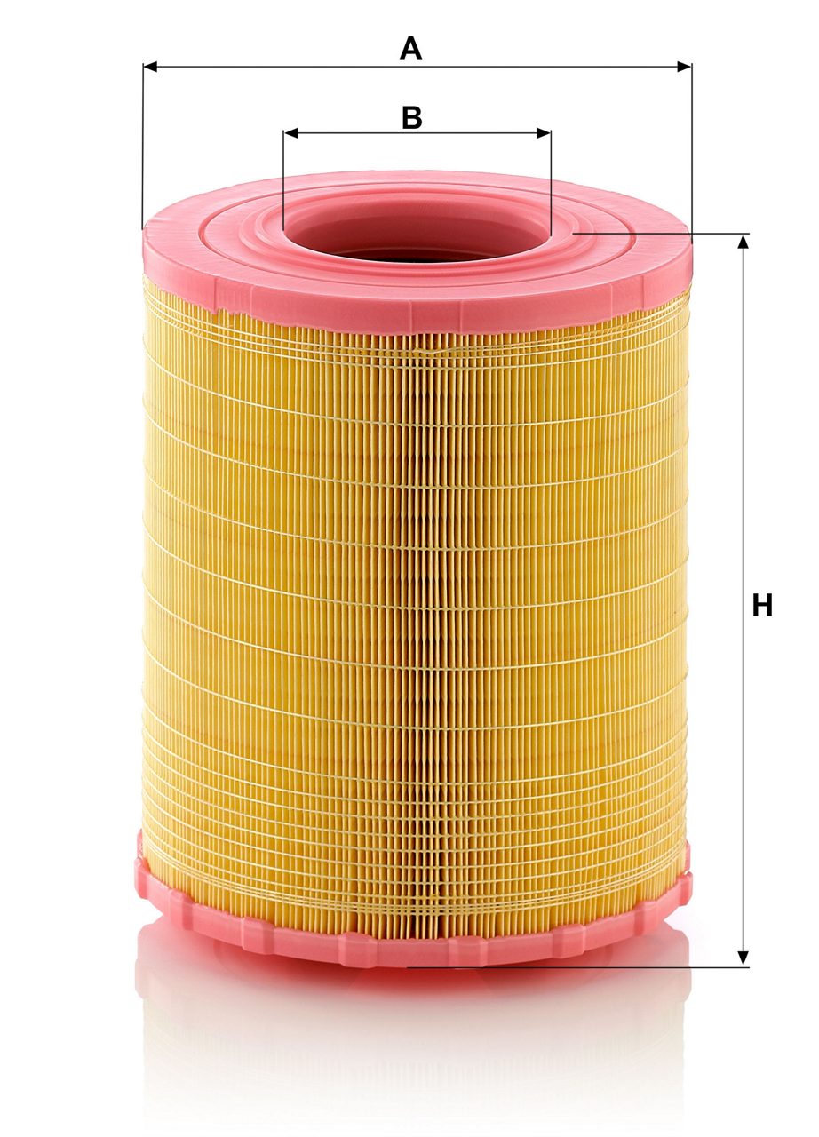 Product Image C29010_MANN-FILTER