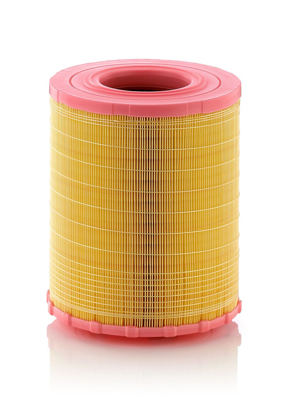 Product Image C29010_MANN-FILTER