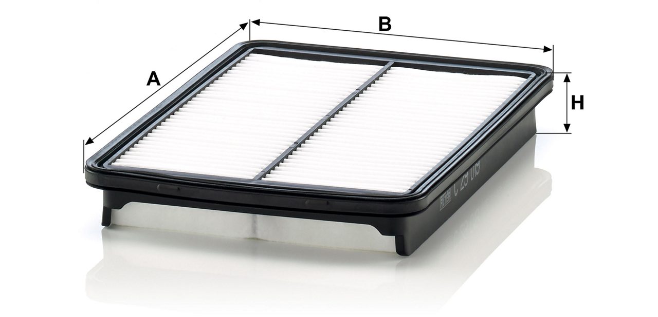 Product Image C29019_MANN-FILTER