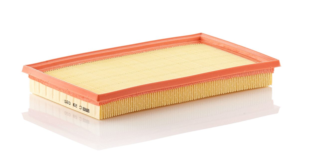 Product Image C29020_MANN-FILTER