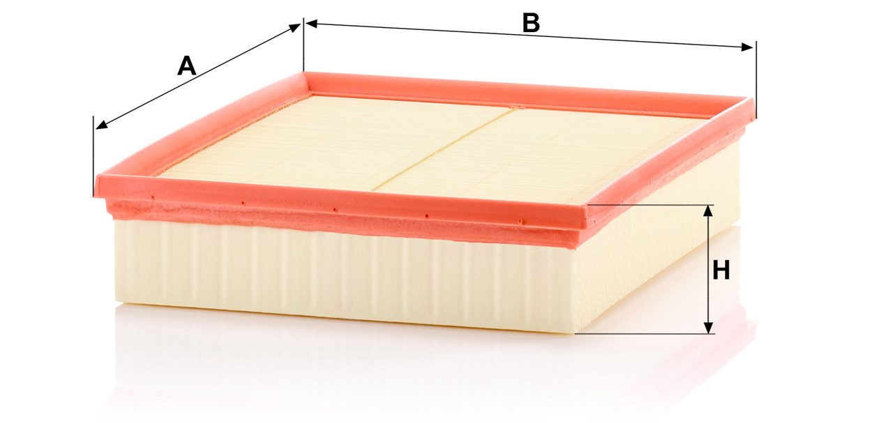 Product Image C29029_MANN-FILTER