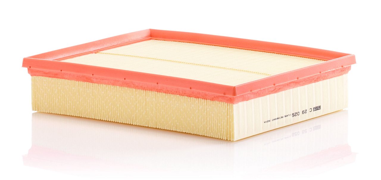 Product Image C29029_MANN-FILTER