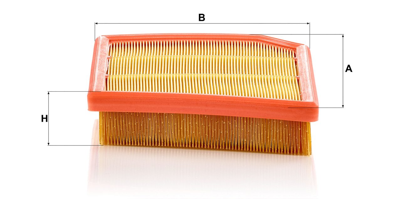 Product Image C29031_MANN-FILTER