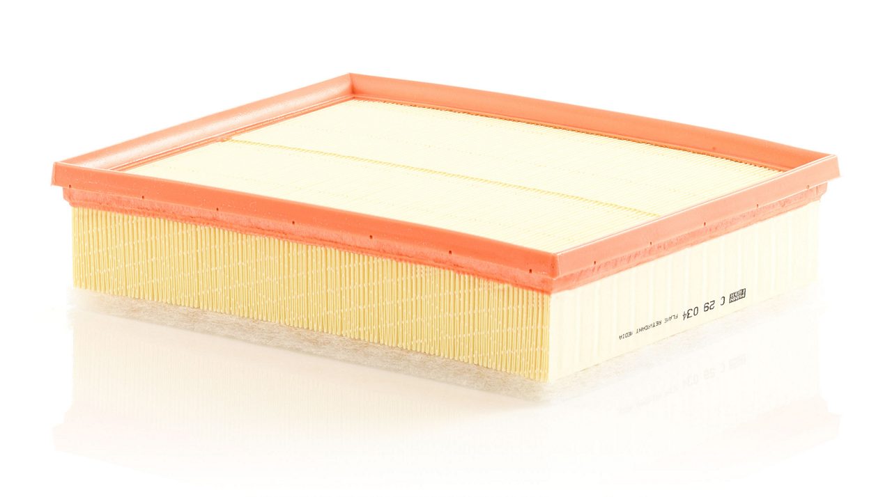 Product Image C29034_MANN-FILTER