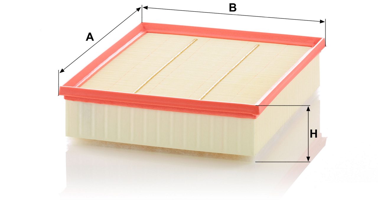 Product Image C29036_MANN-FILTER