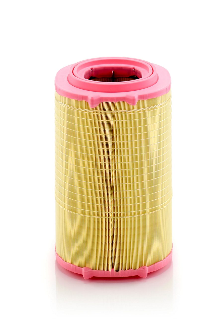 Product Image C29046_MANN-FILTER