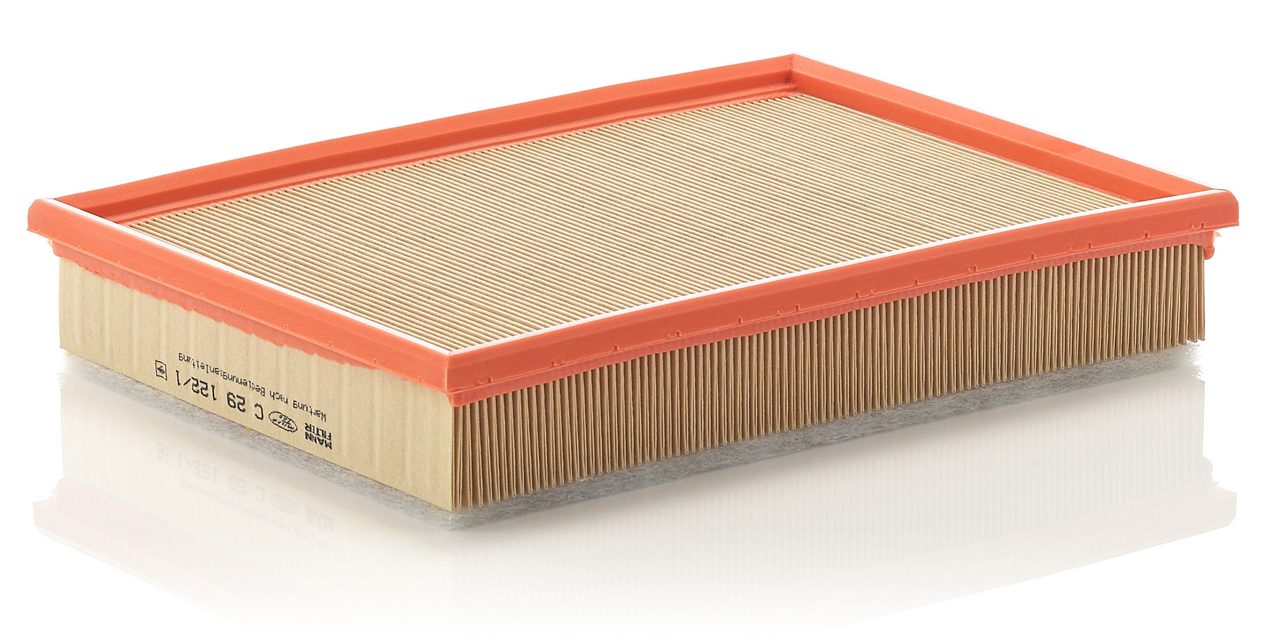 Product Image C29122/1_MANN-FILTER