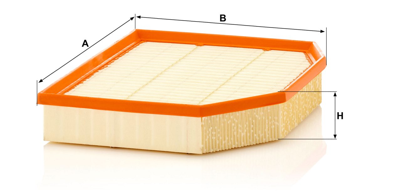 Product Image C29132_MANN-FILTER