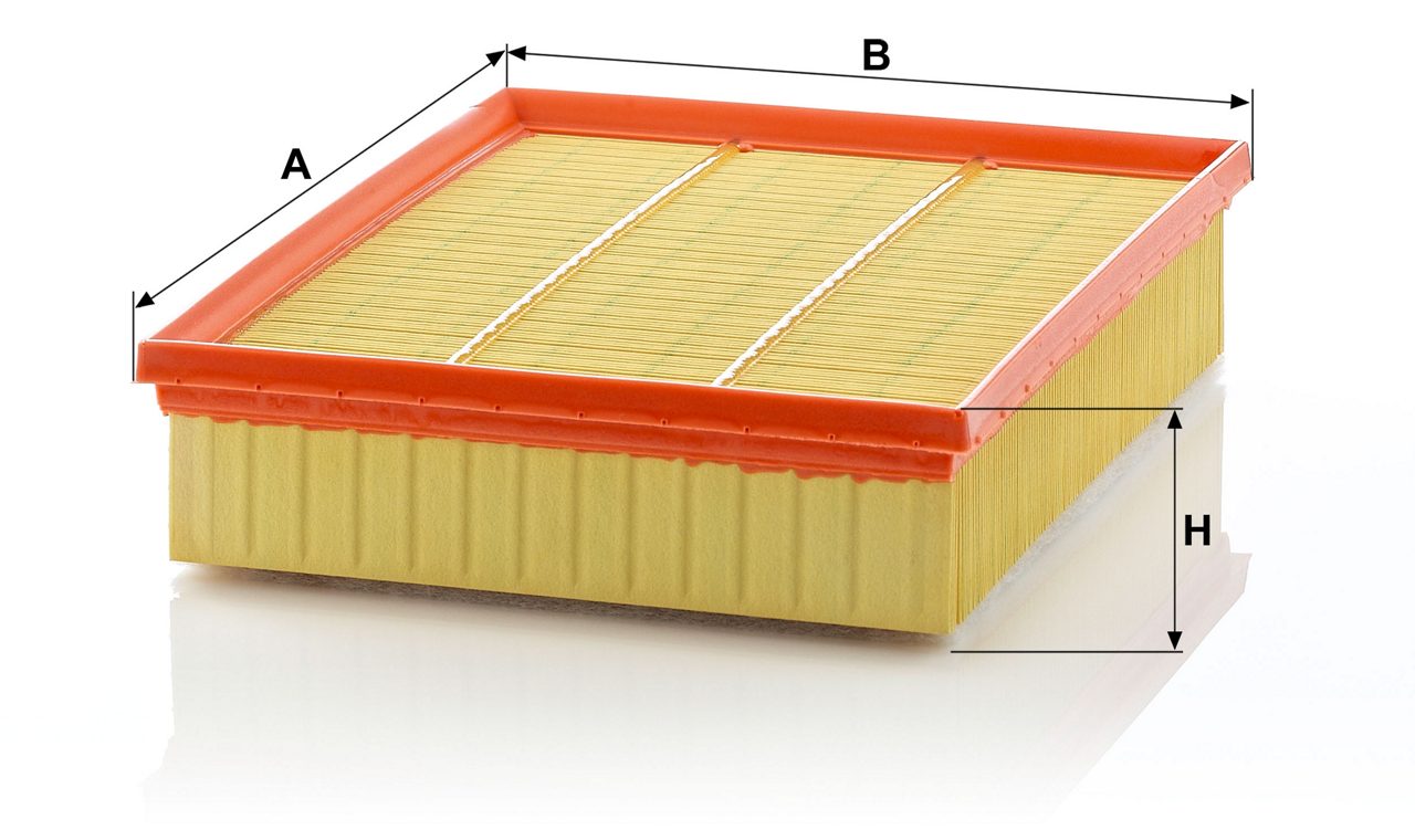 Product Image C29198/1_MANN-FILTER